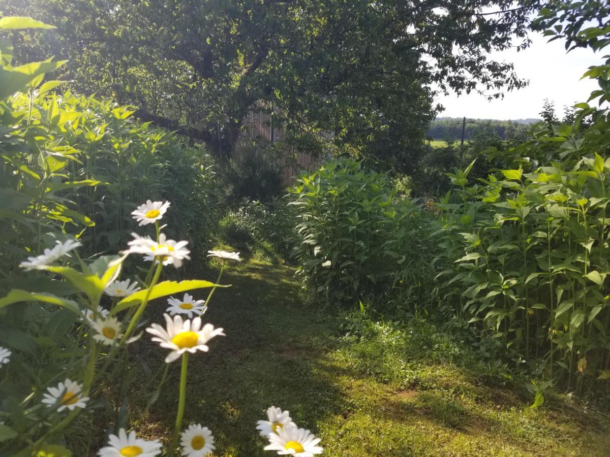Le Petit Paradis, Mini Maison,Nature,Confort,Calme Saint-Julien-le-Petit Exterior photo