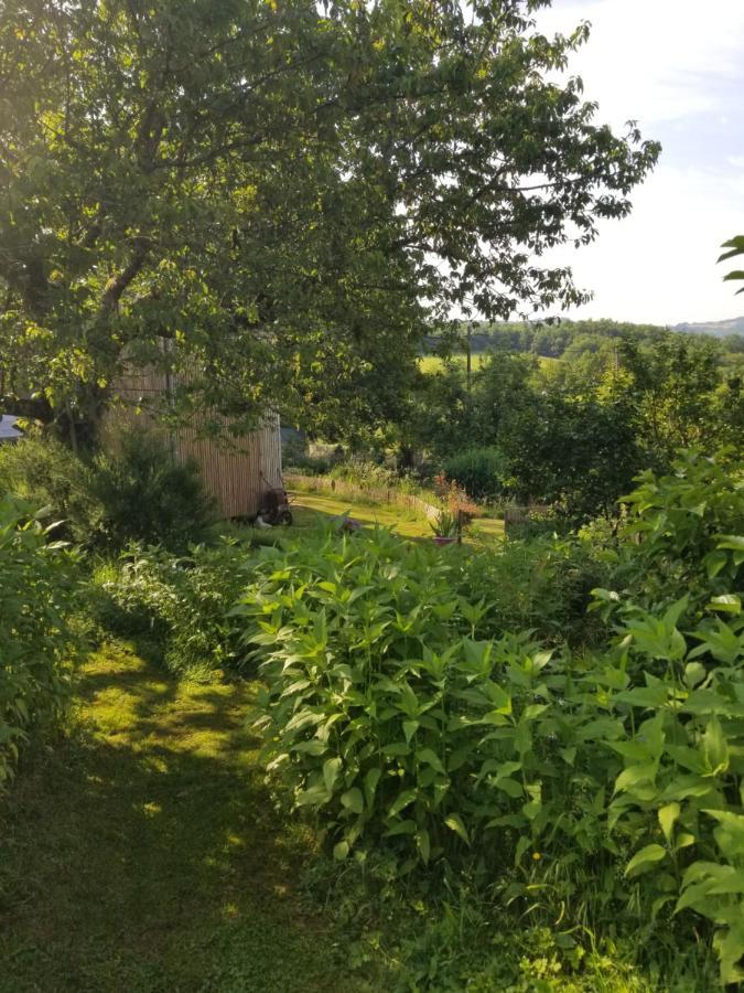 Le Petit Paradis, Mini Maison,Nature,Confort,Calme Saint-Julien-le-Petit Exterior photo