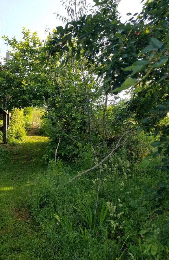 Le Petit Paradis, Mini Maison,Nature,Confort,Calme Saint-Julien-le-Petit Exterior photo