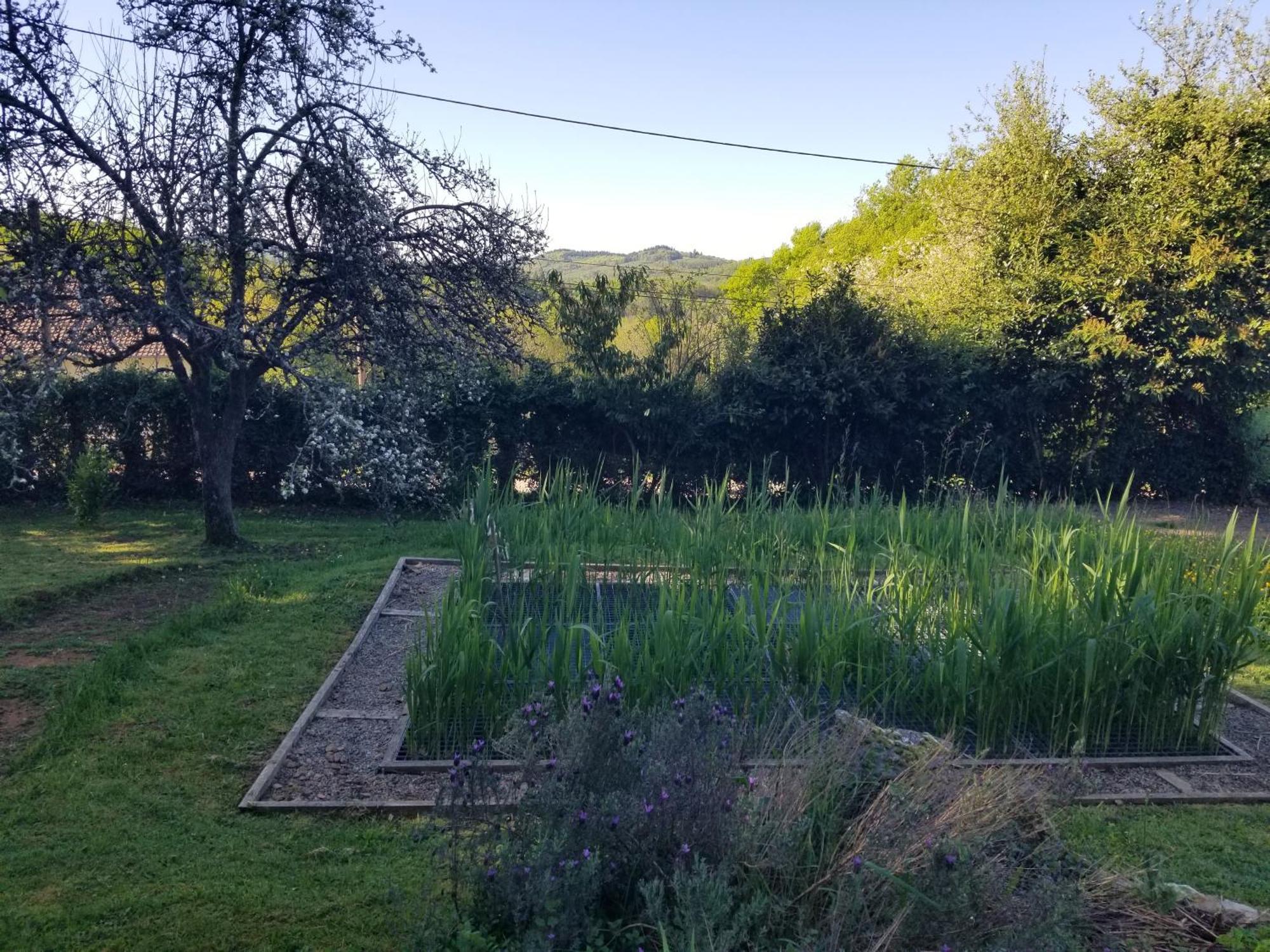 Le Petit Paradis, Mini Maison,Nature,Confort,Calme Saint-Julien-le-Petit Exterior photo