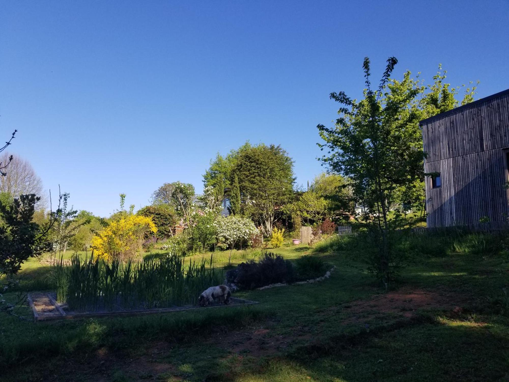 Le Petit Paradis, Mini Maison,Nature,Confort,Calme Saint-Julien-le-Petit Exterior photo